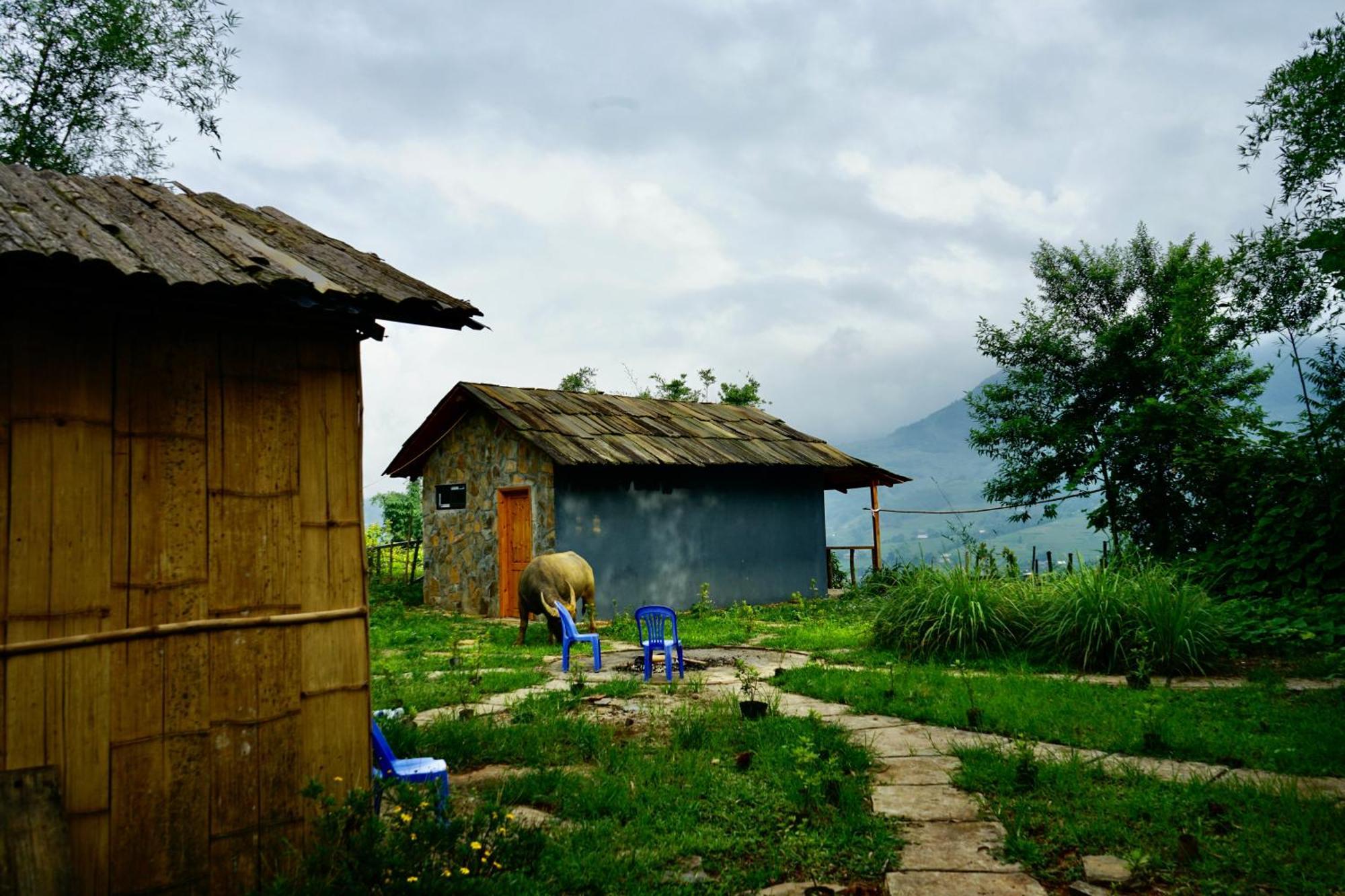 Sapa Hillcrest Homestay Lao Cai Exteriör bild