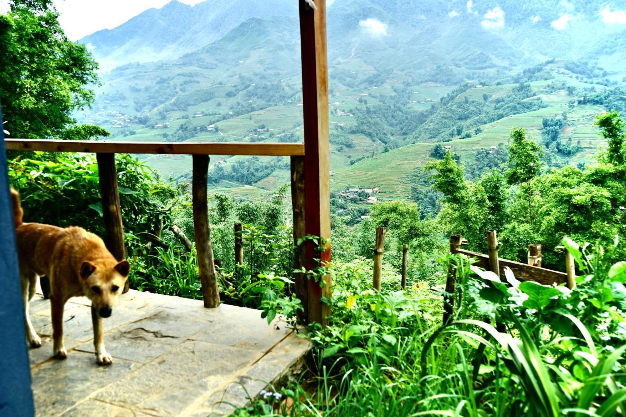Sapa Hillcrest Homestay Lao Cai Exteriör bild