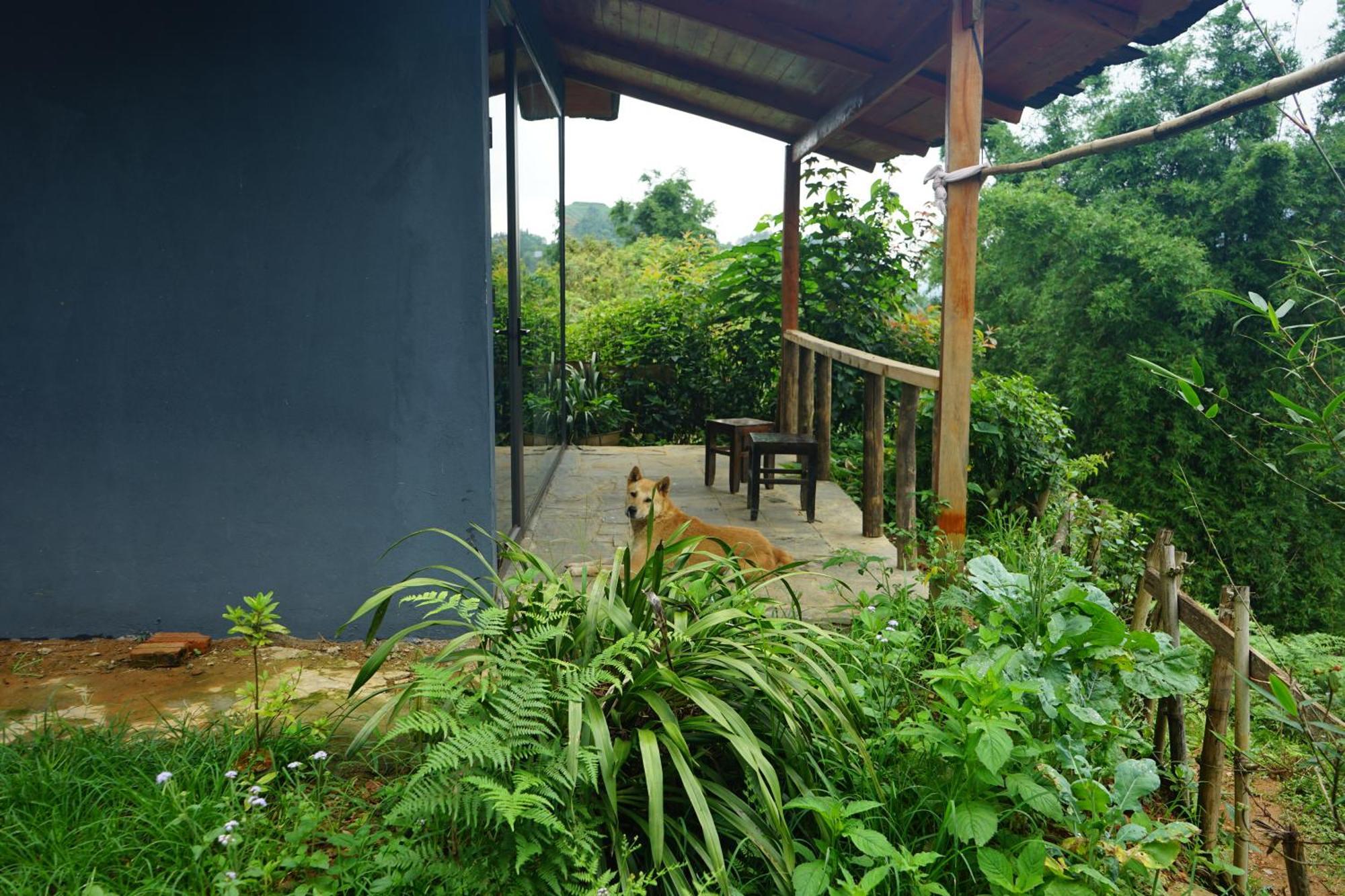 Sapa Hillcrest Homestay Lao Cai Exteriör bild